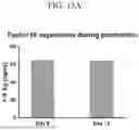 Fig. 19 - MODIFIED STEM CELL MEMORY T CELLS, METHODS OF MAKING AND METHODS OF USING SAME