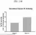 Fig. 20 - MODIFIED STEM CELL MEMORY T CELLS, METHODS OF MAKING AND METHODS OF USING SAME