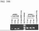 Fig. 32 - MODIFIED STEM CELL MEMORY T CELLS, METHODS OF MAKING AND METHODS OF USING SAME
