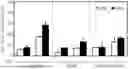 Fig. 01 - SCAFFOLD FOR PRODUCING CULTURED MEAT CONTAINING BIO-CELLULOSE AND MANUFACTURING METHOD THEREOF