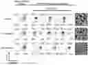 Fig. 01 - MATURATION AGENT