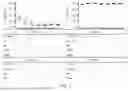 Fig. 04 - METHOD FOR PRODUCING RENAL INTERSTITIAL PROGENITOR CELLS, ERYTHROPOIETIN-PRODUCING CELLS, AND METHOD FOR PRODUCING RENIN-PRODUCING CELLS