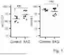 Fig. 06 - METHOD FOR PRODUCING RENAL INTERSTITIAL PROGENITOR CELLS, ERYTHROPOIETIN-PRODUCING CELLS, AND METHOD FOR PRODUCING RENIN-PRODUCING CELLS