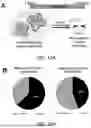Fig. 44 - STRUCTURALLY COMPLETE ORGANOIDS