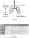 Fig. 09 - VASCULARIZED ORGANOIDS