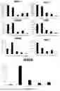 Fig. 06 - RECOMBINANT ONCOLYTIC VIRUS, AND CONSTRUCTION METHOD THEREFOR AND USE THEREOF