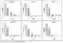 Fig. 07 - RECOMBINANT ONCOLYTIC VIRUS, AND CONSTRUCTION METHOD THEREFOR AND USE THEREOF