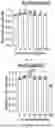 Fig. 04 - Fluorescently Labeled Lentiviral Vector, And Preparation Methods And Use Thereof