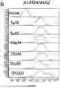 Fig. 09 - Fluorescently Labeled Lentiviral Vector, And Preparation Methods And Use Thereof