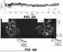 Fig. 11 - Modified Luciferases