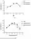 Fig. 03 - Construction method and applications of glycosyltransferase BS-YjiC mutant