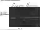 Fig. 09 - TYPE I-B CRISPR-ASSOCIATED TRANSPOSASE SYSTEMS