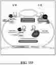 Fig. 149 - TYPE I-B CRISPR-ASSOCIATED TRANSPOSASE SYSTEMS