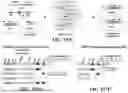 Fig. 158 - TYPE I-B CRISPR-ASSOCIATED TRANSPOSASE SYSTEMS