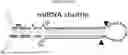Fig. 01 - PRODUCTS AND METHODS FOR INHIBITION OF EXPRESSION OF PERIPHERAL MYELIN PROTEIN-22