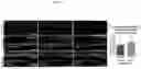 Fig. 22 - PRODUCTS AND METHODS FOR INHIBITION OF EXPRESSION OF PERIPHERAL MYELIN PROTEIN-22