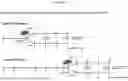 Fig. 33 - PRODUCTS AND METHODS FOR INHIBITION OF EXPRESSION OF PERIPHERAL MYELIN PROTEIN-22