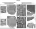 Fig. 44 - PRODUCTS AND METHODS FOR INHIBITION OF EXPRESSION OF PERIPHERAL MYELIN PROTEIN-22