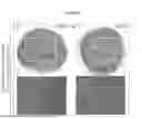 Fig. 46 - PRODUCTS AND METHODS FOR INHIBITION OF EXPRESSION OF PERIPHERAL MYELIN PROTEIN-22