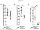 Fig. 49 - PRODUCTS AND METHODS FOR INHIBITION OF EXPRESSION OF PERIPHERAL MYELIN PROTEIN-22