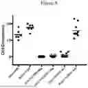 Fig. 08 - VON WILLEBRAND FACTOR (VWF)-TARGETING AGENTS AND METHODS OF USING THE SAME