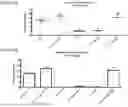 Fig. 09 - VON WILLEBRAND FACTOR (VWF)-TARGETING AGENTS AND METHODS OF USING THE SAME