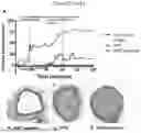Fig. 22 - VON WILLEBRAND FACTOR (VWF)-TARGETING AGENTS AND METHODS OF USING THE SAME