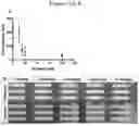 Fig. 23 - VON WILLEBRAND FACTOR (VWF)-TARGETING AGENTS AND METHODS OF USING THE SAME
