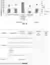 Fig. 04 - GENETICALLY MODIFIED FUNGAL CELLS AND METHODS USEFUL FOR PRODUCING PRESPATANE