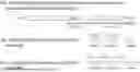 Fig. 28 - U6 POLYMERASE III PROMOTER AND METHODS OF USE