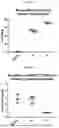 Fig. 07 - COMPOSITIONS AND METHODS FOR GENE EDITING