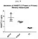 Fig. 09 - COMPOSITIONS AND METHODS FOR GENE EDITING