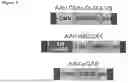 Fig. 07 - RECOMBINANT VIRUS PRODUCTS AND METHODS FOR INHIBITION OF EXPRESSION OF DUX4