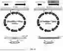 Fig. 06 - ENGINEERED NODAVIRAL CARGO DELIVERY SYSTEMS