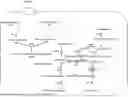 Fig. 01 - GENETICALLY ENGINEERED BACTERIUM USING GLUCOSE AS SUBSTRATE FOR DE NOVO SYNTHESIS OF VANILLIN AND APPLICATION THEREOF