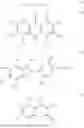 Fig. 08 - PHOSPHORYLATION OF PHENOLIC PHYTOCHEMICALS BY TWO ENZYMES COUPLED SYSTEM