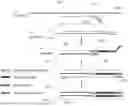 Fig. 02 - IMMUNOLOGICAL ANALYSIS METHODS