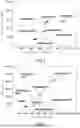 Fig. 03 - DIGITAL AMPLIFICATION DETECTION METHOD FOR SIMULTANEOUSLY IDENTIFYING MULTIPLE GENOTYPES, DETECTION PRODUCT AND DETECTION KIT