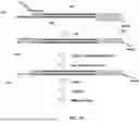 Fig. 04 - SYSTEMS AND METHODS FOR SAMPLE PREPARATION FOR SEQUENCING