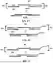 Fig. 10 - SYSTEMS AND METHODS FOR SAMPLE PREPARATION FOR SEQUENCING