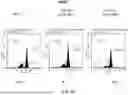 Fig. 15 - SYSTEMS AND METHODS FOR SAMPLE PREPARATION FOR SEQUENCING