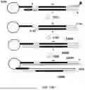 Fig. 33 - SYSTEMS AND METHODS FOR SAMPLE PREPARATION FOR SEQUENCING