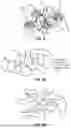 Fig. 08 - COMPOSITIONS AND METHODS FOR DENSLEY-PACKED ANALYTE ANALYSIS