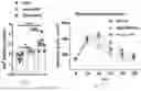 Fig. 02 - METHODS OF USING miR-3075-5P TO IMPROVE INSULIN SENSITIVITY AND COMPOSITIONS THEREFOR