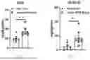 Fig. 04 - METHODS OF USING miR-3075-5P TO IMPROVE INSULIN SENSITIVITY AND COMPOSITIONS THEREFOR