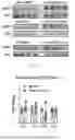 Fig. 06 - METHODS OF USING miR-3075-5P TO IMPROVE INSULIN SENSITIVITY AND COMPOSITIONS THEREFOR