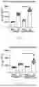 Fig. 07 - METHODS OF USING miR-3075-5P TO IMPROVE INSULIN SENSITIVITY AND COMPOSITIONS THEREFOR