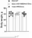 Fig. 12 - METHODS OF USING miR-3075-5P TO IMPROVE INSULIN SENSITIVITY AND COMPOSITIONS THEREFOR