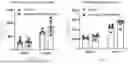 Fig. 14 - METHODS OF USING miR-3075-5P TO IMPROVE INSULIN SENSITIVITY AND COMPOSITIONS THEREFOR