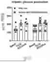 Fig. 16 - METHODS OF USING miR-3075-5P TO IMPROVE INSULIN SENSITIVITY AND COMPOSITIONS THEREFOR